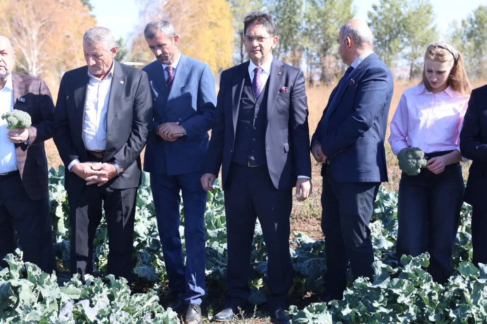 Erzurum’da Tarımda Yeni Bir Dönem: İkinci Ürün Brokoli Hasadı Gerçekleştirildi