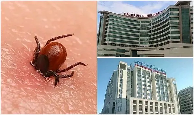 Erzurum