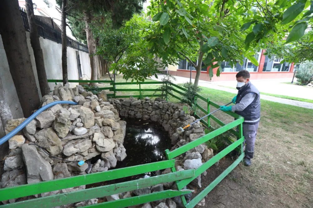 ESENYURT’TA KEMİRGEN SORUNUNA KARŞI İBB’DEN HIZLI MÜDAHALE 
