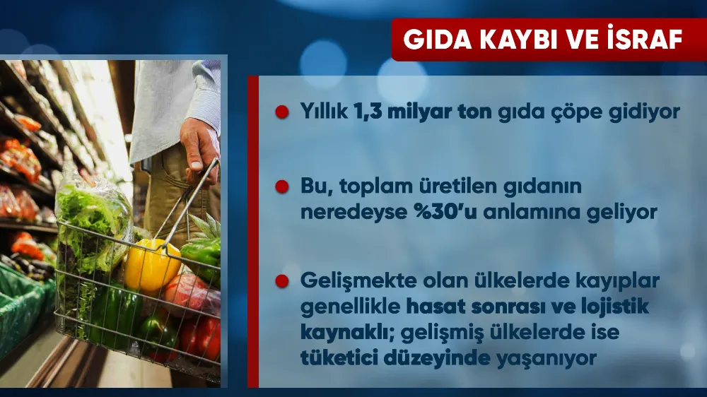 Küresel gıda paradoksu: 2 milyar kişi gıdaya erişemiyor, 2 milyar obeziteyle yaşıyor 